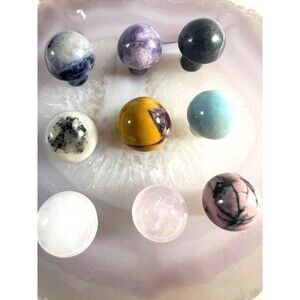 Mini Mushrooms - Your choice of 1